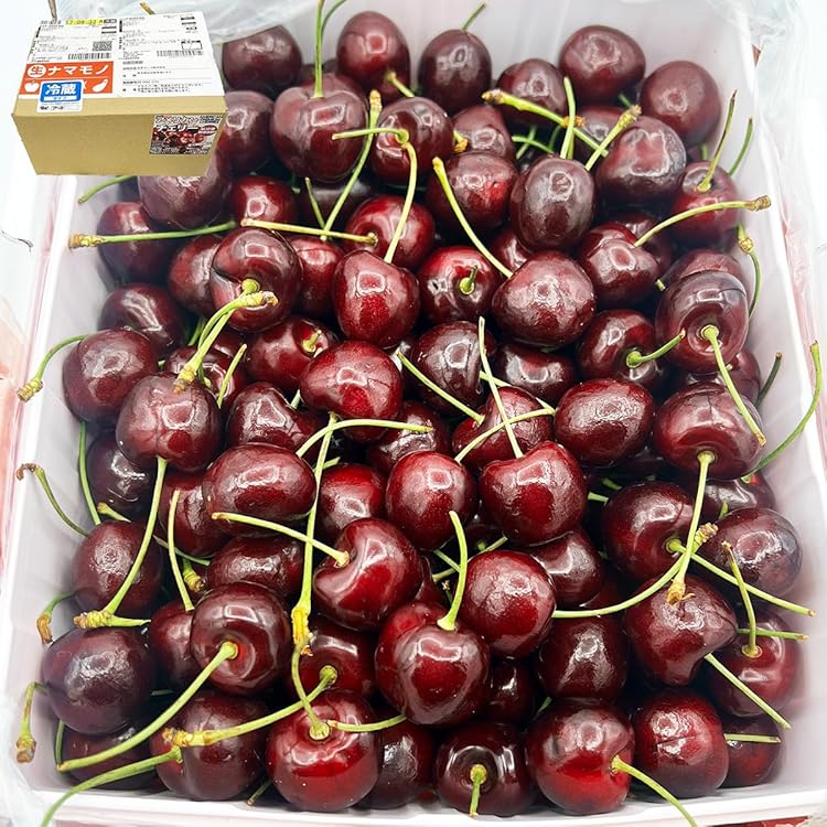 NZ産空輸生鮮桜桃1箱約2.0kg チェリー、さくらんぼ 12月31日発送OK